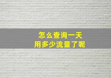 怎么查询一天用多少流量了呢