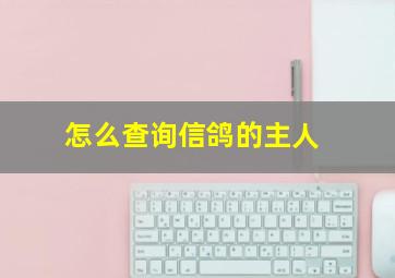 怎么查询信鸽的主人