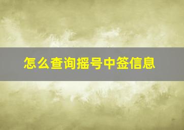 怎么查询摇号中签信息