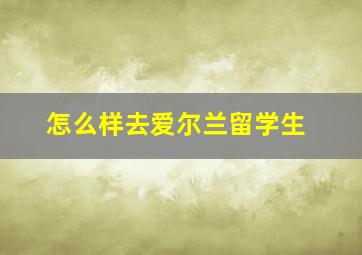 怎么样去爱尔兰留学生