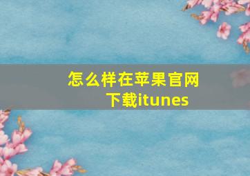 怎么样在苹果官网下载itunes