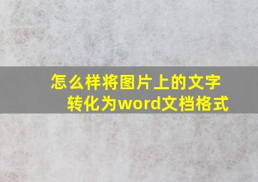 怎么样将图片上的文字转化为word文档格式