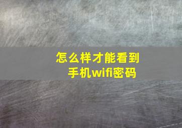 怎么样才能看到手机wifi密码