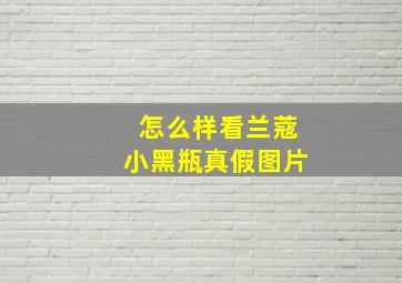 怎么样看兰蔻小黑瓶真假图片