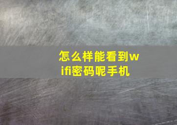 怎么样能看到wifi密码呢手机