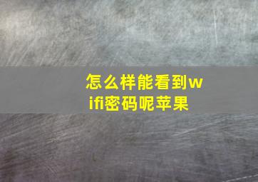 怎么样能看到wifi密码呢苹果