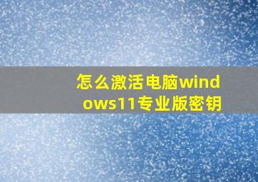 怎么激活电脑windows11专业版密钥