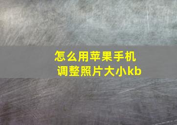 怎么用苹果手机调整照片大小kb