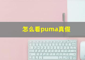 怎么看puma真假