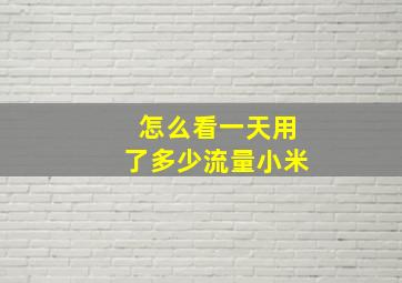 怎么看一天用了多少流量小米