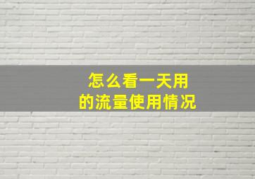 怎么看一天用的流量使用情况