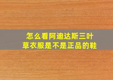 怎么看阿迪达斯三叶草衣服是不是正品的鞋