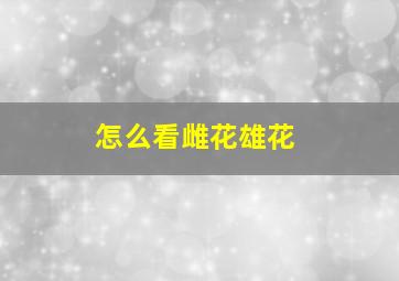 怎么看雌花雄花