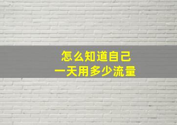 怎么知道自己一天用多少流量