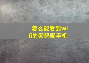 怎么能看到wifi的密码呢手机