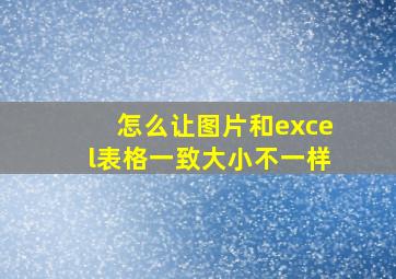 怎么让图片和excel表格一致大小不一样