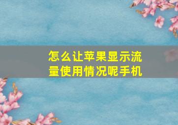 怎么让苹果显示流量使用情况呢手机