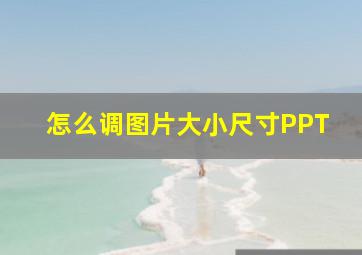 怎么调图片大小尺寸PPT