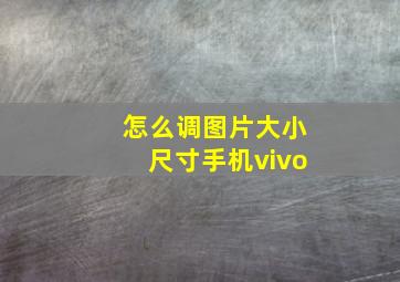 怎么调图片大小尺寸手机vivo