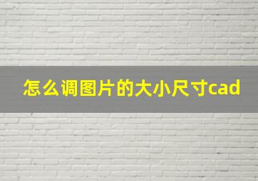 怎么调图片的大小尺寸cad