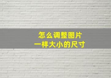 怎么调整图片一样大小的尺寸