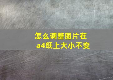 怎么调整图片在a4纸上大小不变