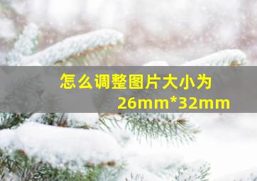 怎么调整图片大小为26mm*32mm