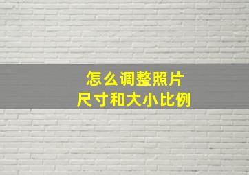 怎么调整照片尺寸和大小比例