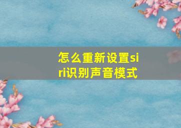 怎么重新设置siri识别声音模式