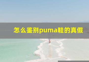 怎么鉴别puma鞋的真假