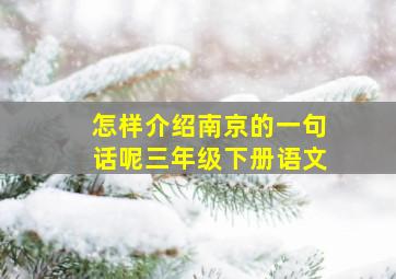 怎样介绍南京的一句话呢三年级下册语文