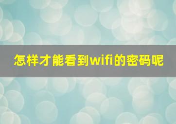 怎样才能看到wifi的密码呢