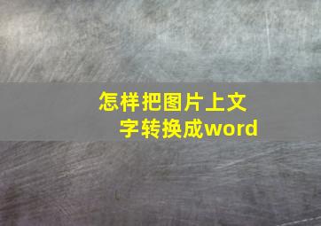 怎样把图片上文字转换成word