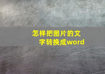 怎样把图片的文字转换成word