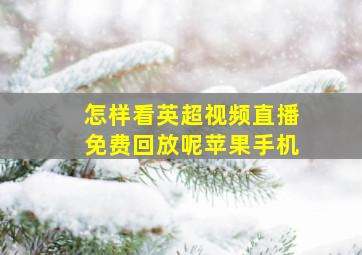 怎样看英超视频直播免费回放呢苹果手机