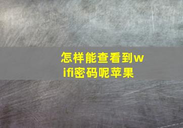 怎样能查看到wifi密码呢苹果