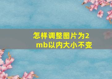 怎样调整图片为2mb以内大小不变