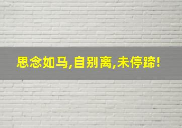 思念如马,自别离,未停蹄!