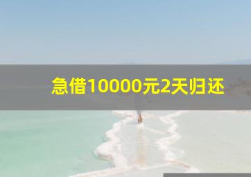 急借10000元2天归还