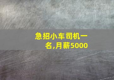 急招小车司机一名,月薪5000