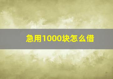 急用1000块怎么借