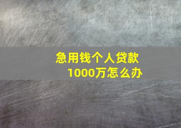 急用钱个人贷款1000万怎么办