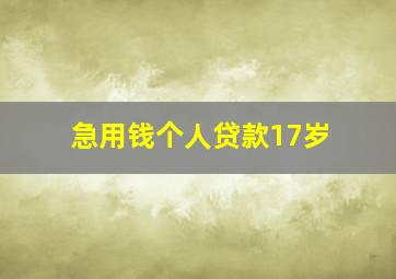 急用钱个人贷款17岁