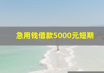 急用钱借款5000元短期