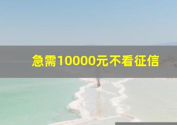 急需10000元不看征信