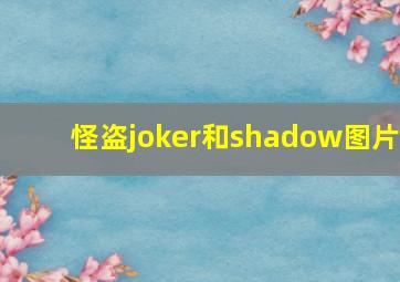 怪盗joker和shadow图片