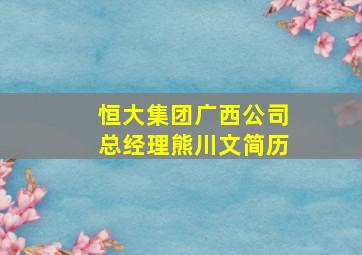 恒大集团广西公司总经理熊川文简历