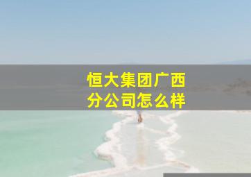 恒大集团广西分公司怎么样