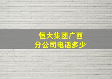 恒大集团广西分公司电话多少