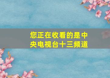 您正在收看的是中央电视台十三频道